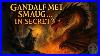 The Secret Meeting Between Gandalf And Smaug Lord Of The Rings Lore